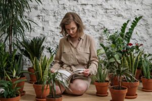 workspace with plants